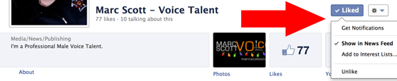 Get Your Facebook Page For Your Voice Over Business Seen